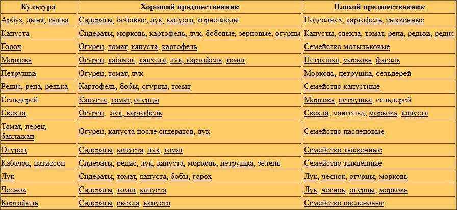 Сидераты: когда сеять и закапывать, какие сидераты лучше