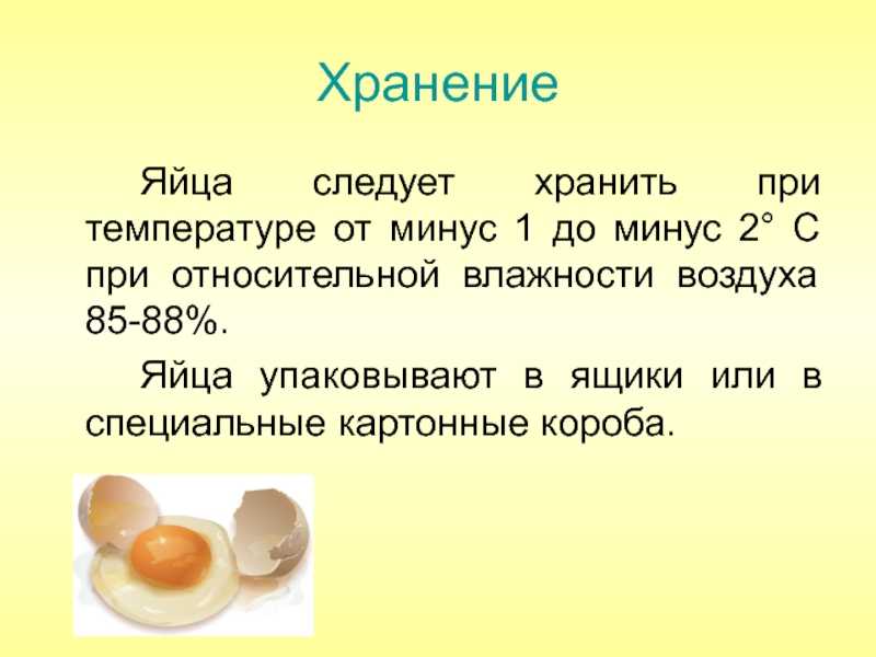 Как хранить яйца правильно и сколько можно хранить яйца в холодильнике ~ полезные советы