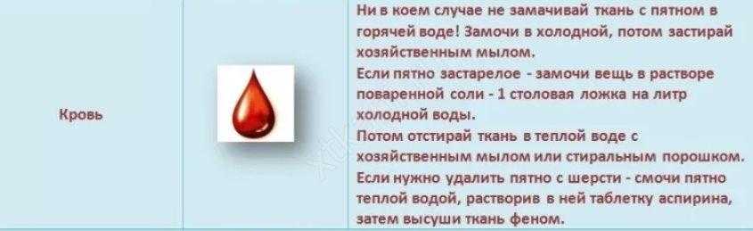 Как и чем отмыть пятна крови с дивана в домашних условиях