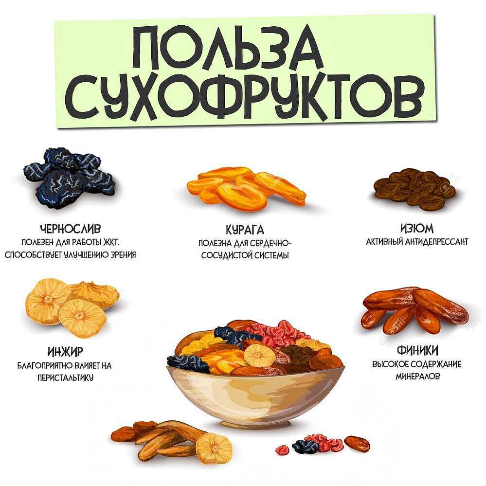 Сколько хранятся яблоки – база данных сроков хранения