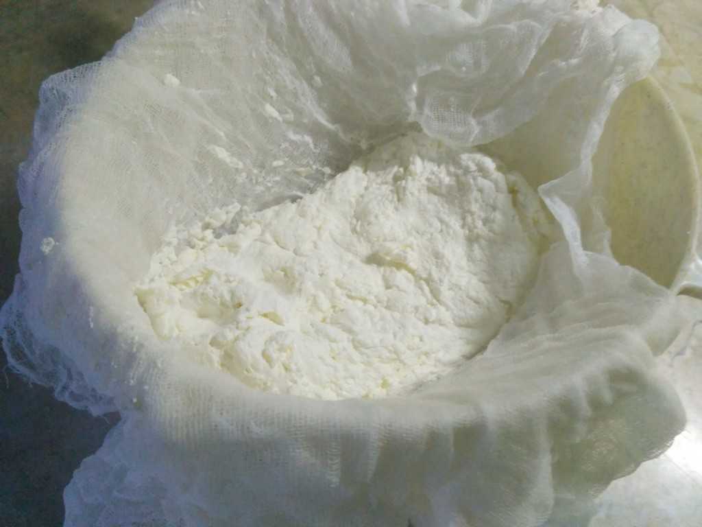 Творог из замороженного кефира, как быстро приготовить?