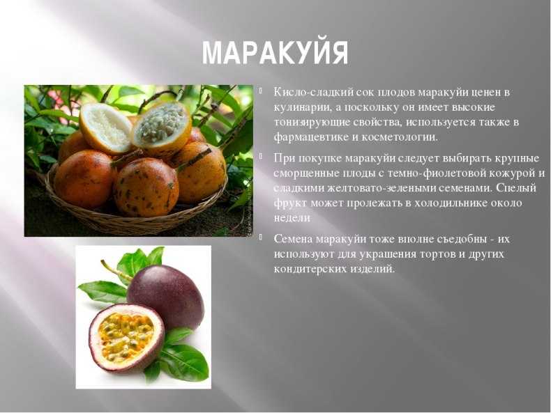 Как хранить маракуйю в домашних условиях, сроки, требования