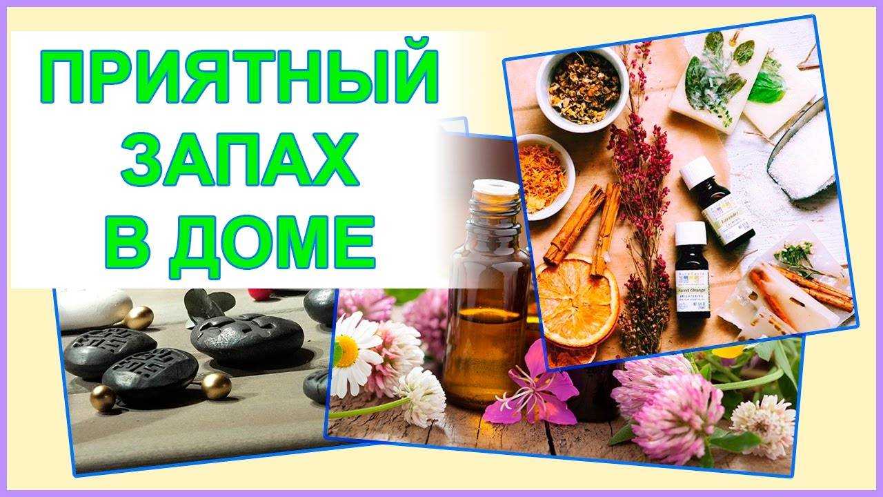 Цитаты о доме и уюте (100 цитат)