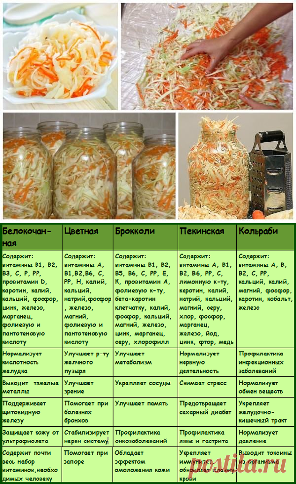 Лучшие рецепты квашеной капусты без соли и сахара