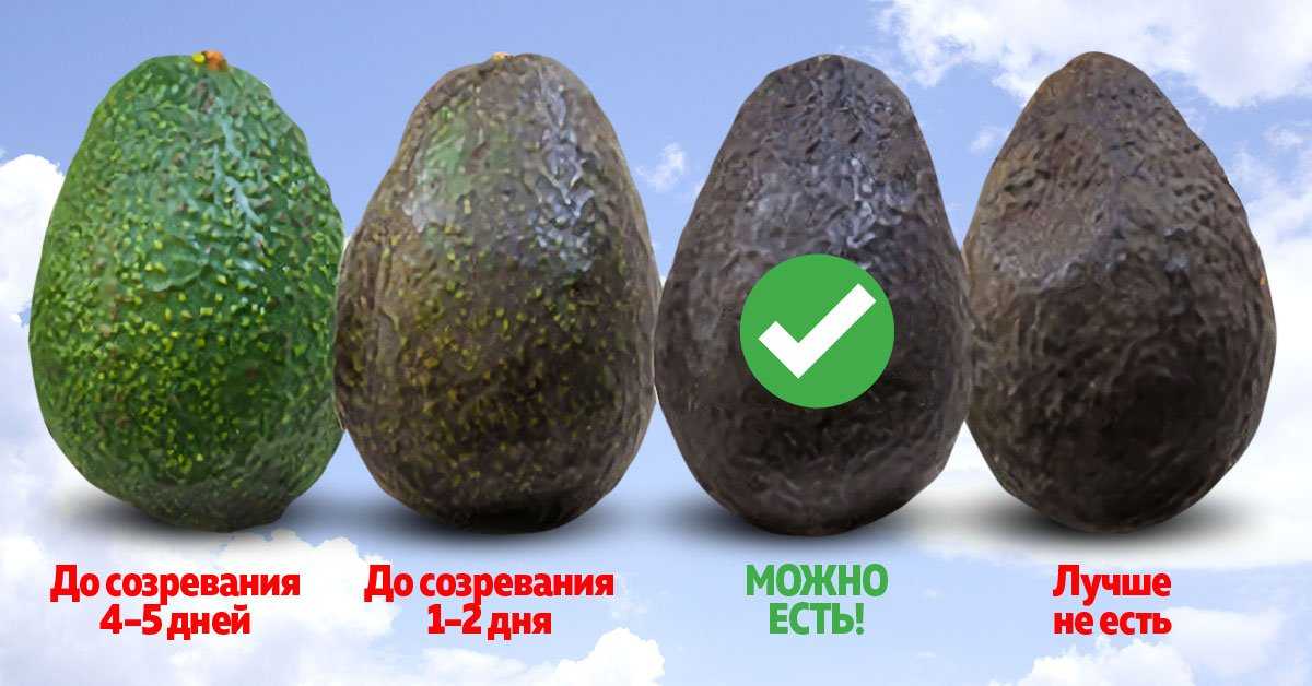 Что делать с незрелым манго