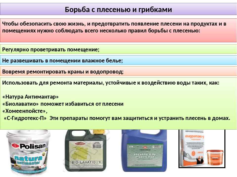Плесень в квартире: все методы как избавиться от грибка на мебели