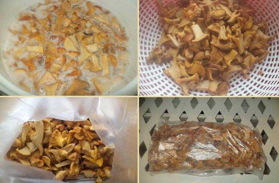Как хранить лисички при помощи сушки, охлаждения и заморозки