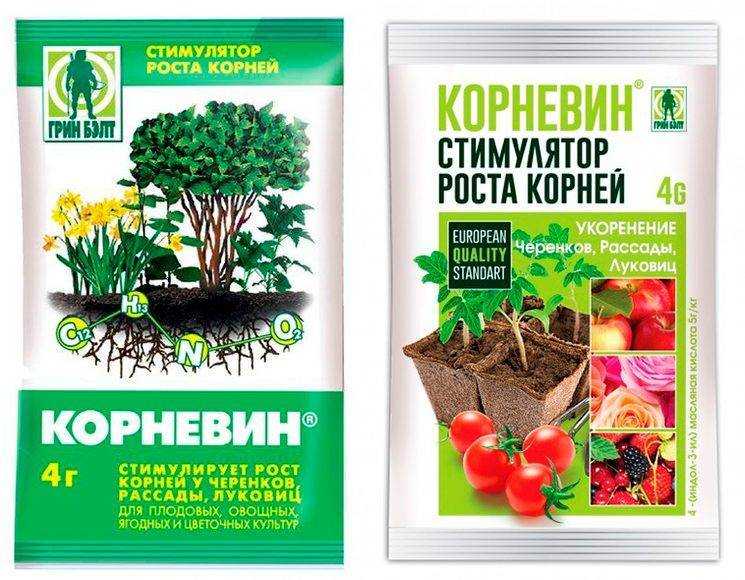 Стимуляторы корнеобразования — инструкция по применению - статья в блоге dfogorod.ru