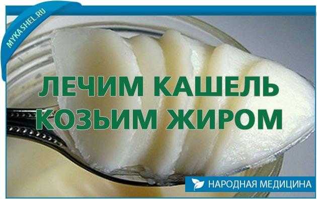 Козий жир – польза и вред, применение в народной медицине