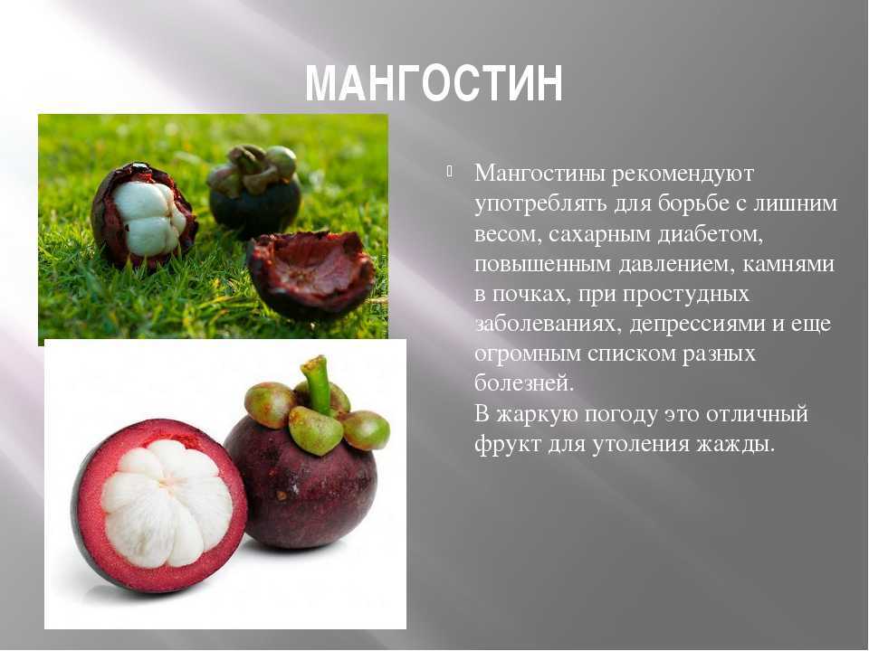 На что внешне и по вкусу похож мангостин Как выбрать, чистить и есть мангостин, как вырастить из косточки Полезные свойства мангостина для организма