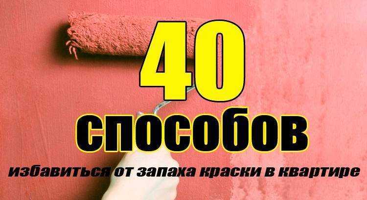 9 способов, как избавиться от запаха краски в квартире бысто и эффективно