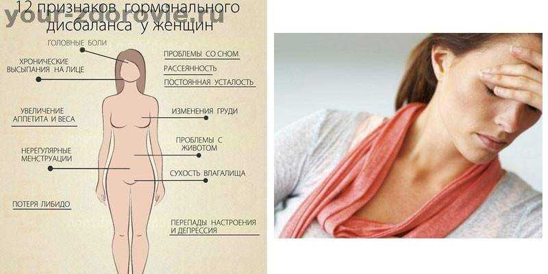 В какой курице нет антибиотиков?