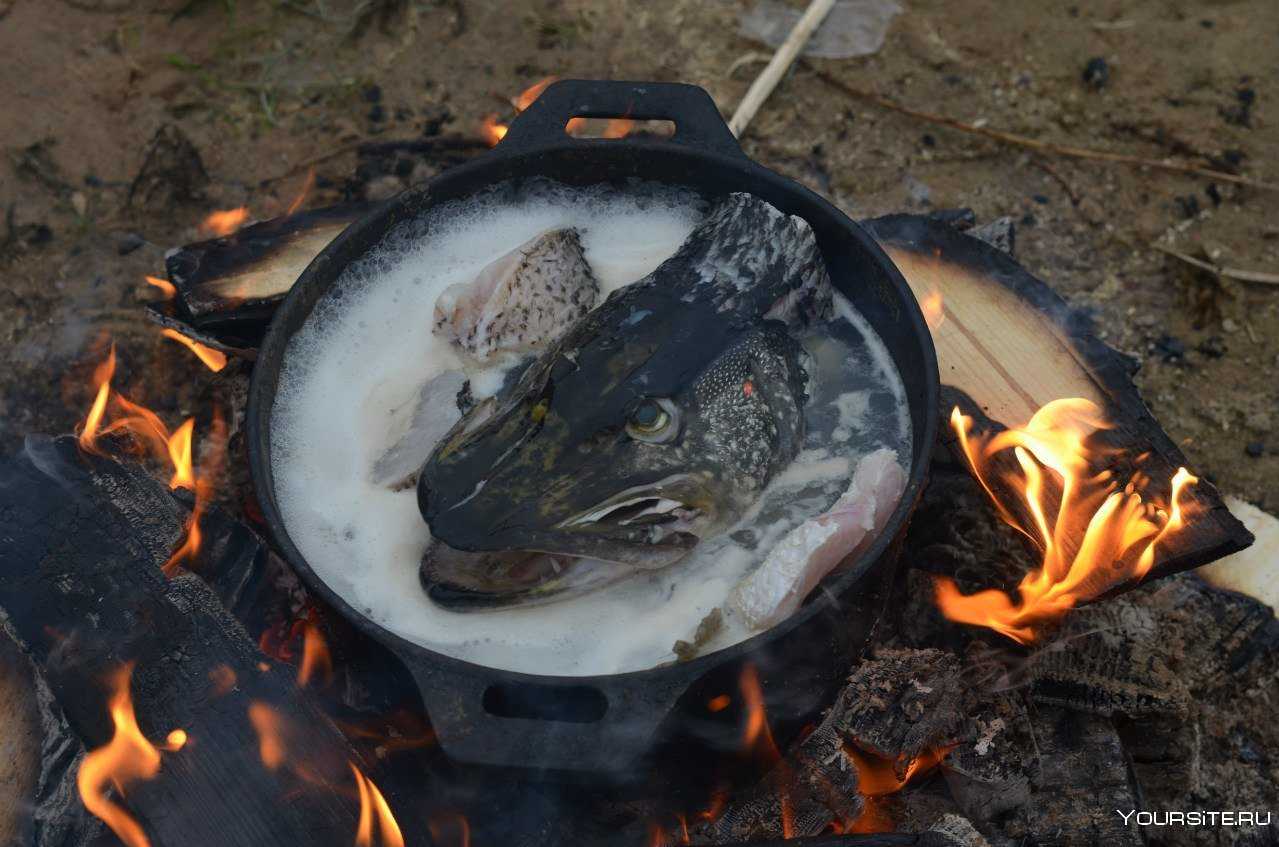 Как приготовить вкусную уху -вкусное оригинальное блюдо