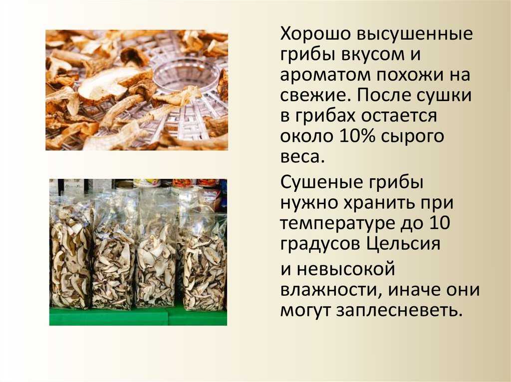 Как хранить сухофрукты в домашних условиях, как правильно и в чем хранить сушеные яблоки и курагу