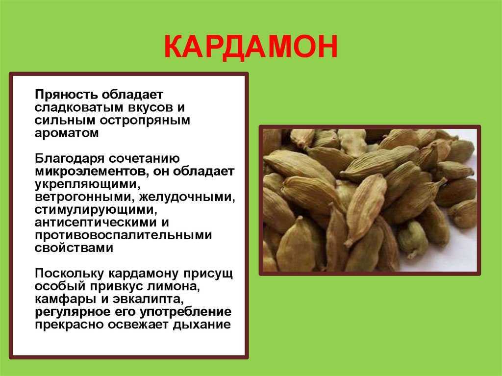 Кардамон (приправа): куда добавлять, чем заменить специю, применяется к каким блюдам в кулинарии, вкус