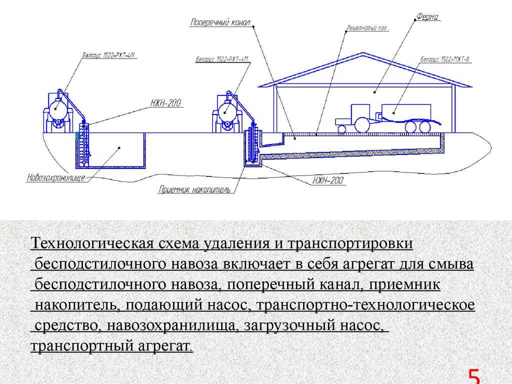 Правильное хранение навоза на даче: советы по созданию хранилища и особенности хранения конского навоза