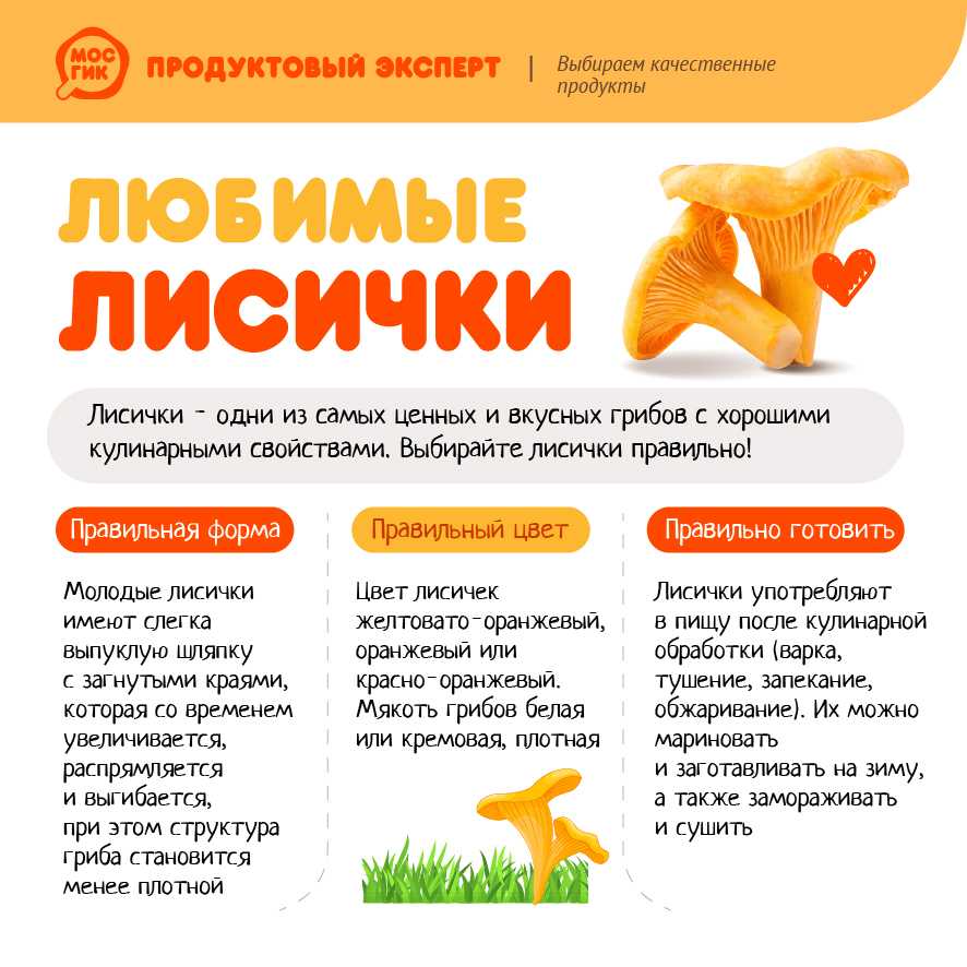 Как сохранить лисички на зиму, способы заготовки, сроки годности в зависимости от температуры