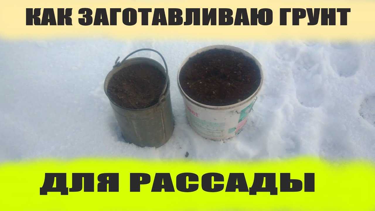 Заговор на хороший урожай - простая орогодная магия без последствий