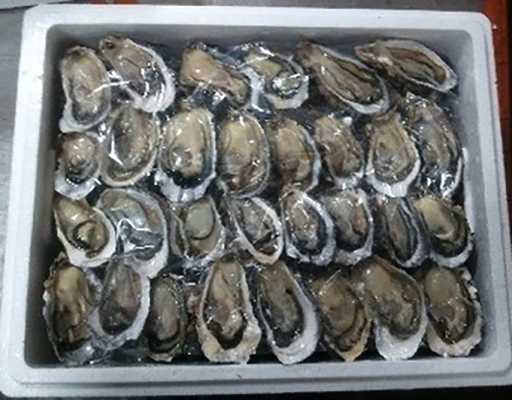 Срок хранения свежих устриц: правила, условия и рекомендации