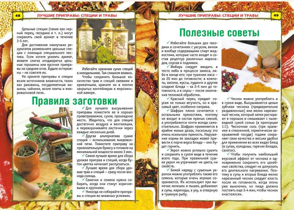 Какие специи самые полезные — топ-10 видов