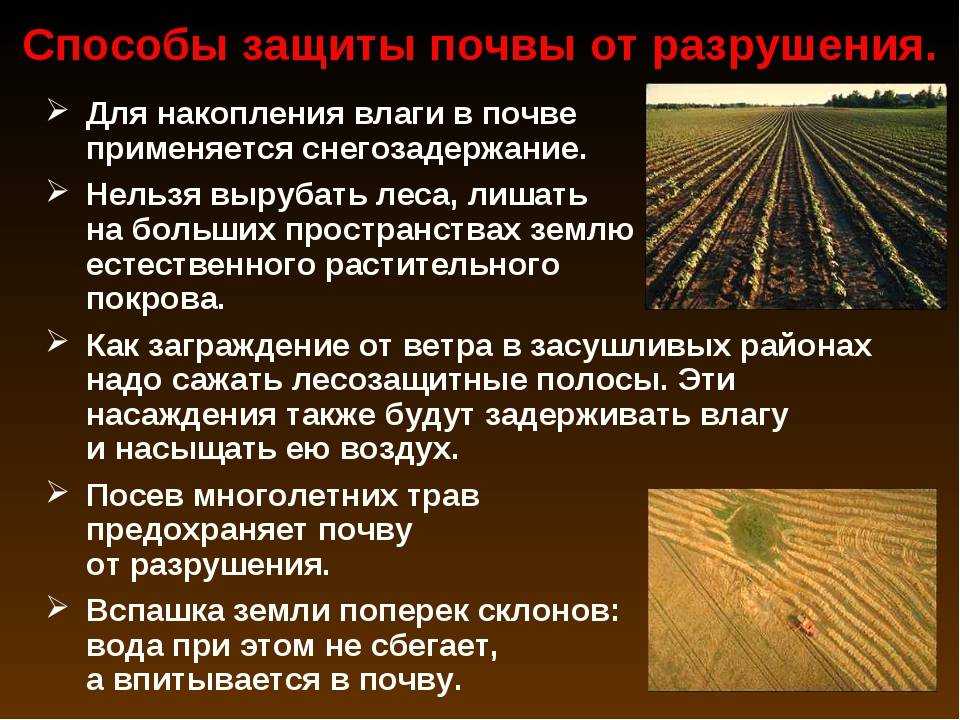 С окончанием летнего сезона и сбора урожая работы на приусадебном участке не заканчиваются