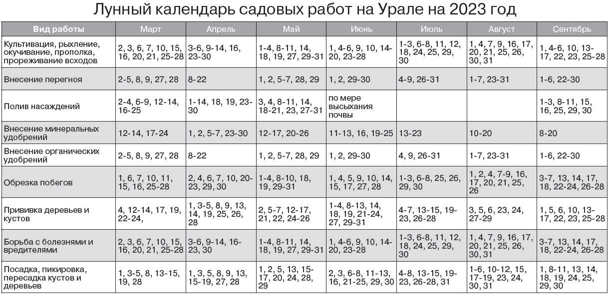 Когда квасить капусту в январе 2021 года по лунному календарю: сроки засолки (таблица)