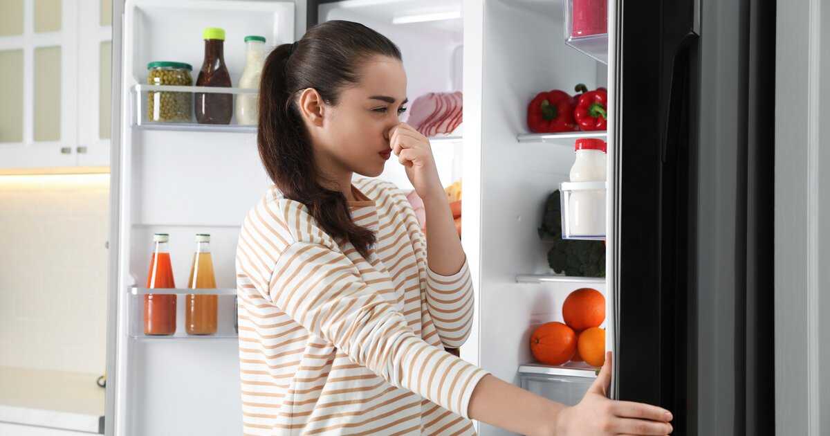 Как реанимировать мясо с душком в домашних условиях простыми способами