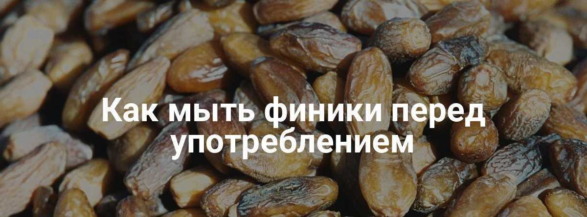 Чем обрабатывают финики почему они масляные верх — сколько хранится, что делать, чем опасно