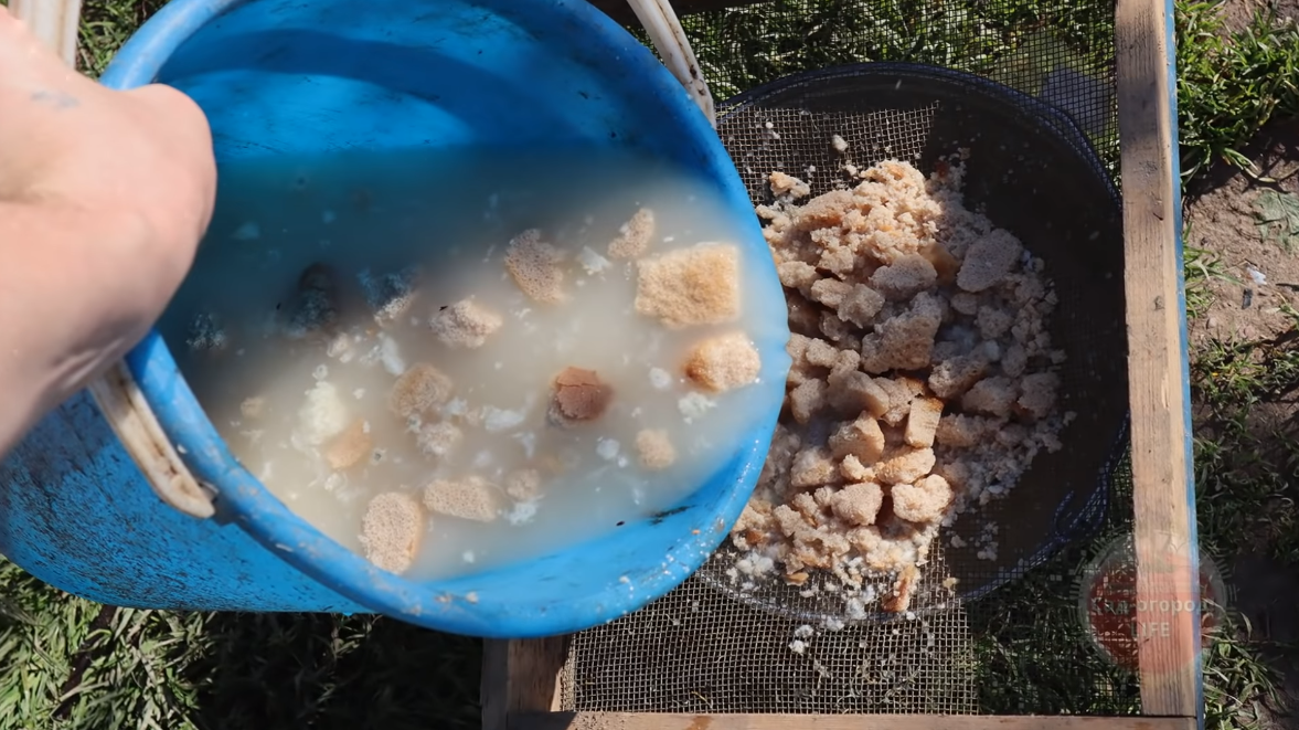 Какой огородник не мечтает о богатом урожае на своём участке Каких только эффективных видов удобрения ни применяет, порой даже нестандартных