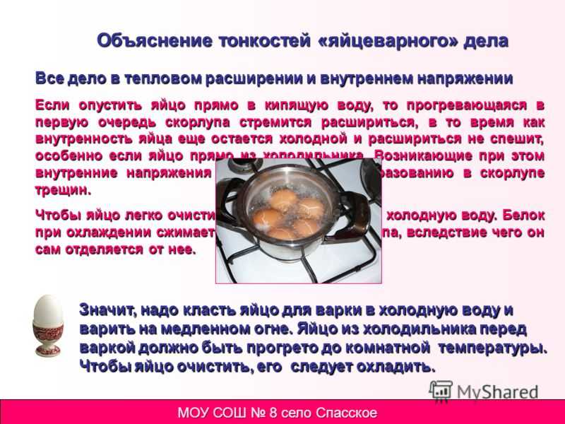 Как и сколько нужно варить яйца | omj