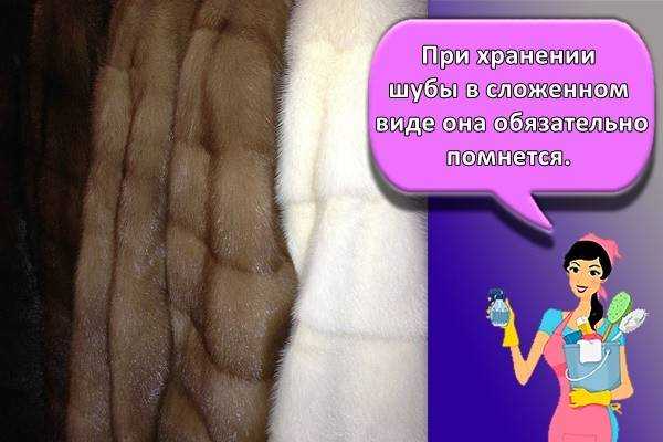 Как зимой и летом нужно ухаживать за норковой шубой