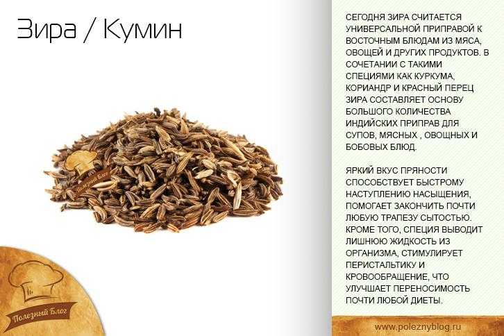 Зира (приправа) или кумин (специя cumin): куда и сколько добавлять (блюда), применение в кулинарии, чем заменить пряность, вкус, с чем сочетается