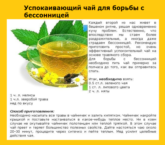 Как хранить лекарственные травы в домашних условиях
