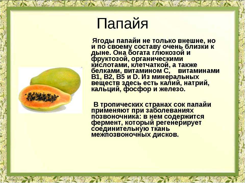 Фрукт папайя: полезные свойства, как кушать, выбрать и хранить
