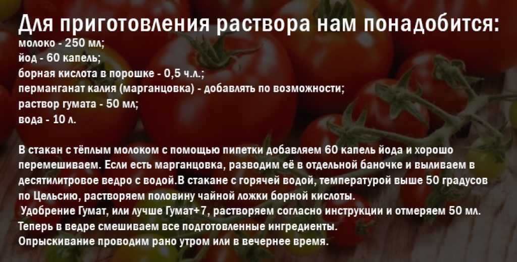 ✅ подкормка растений: виды удобрений, способы внесения, влияние, питание, особенности, рекомендации