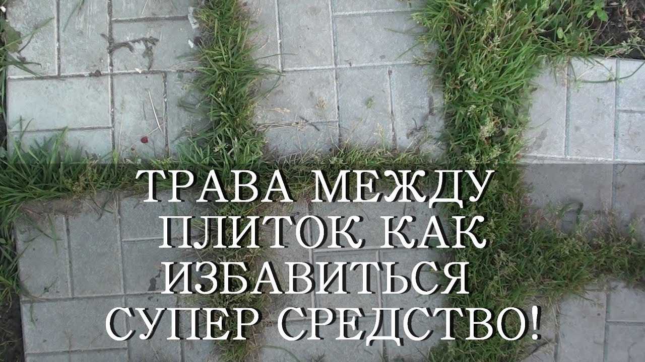 Легкий способ, как надолго избавиться от травы в садовых дорожках
