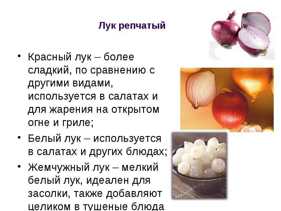Луковая шелуха для огорода и сада: правильное применение удобрения