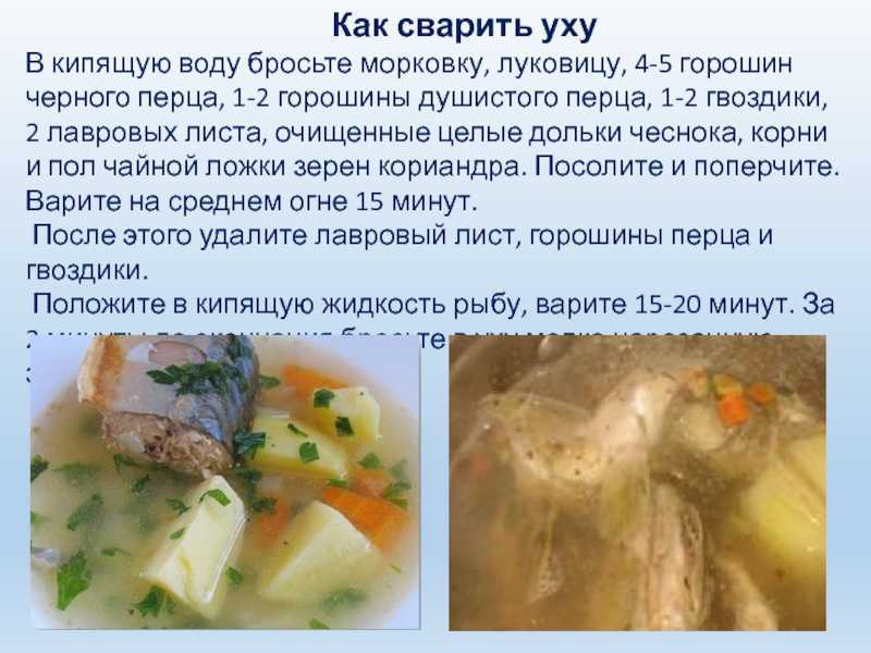 Рецепт ухи из красной рыбы