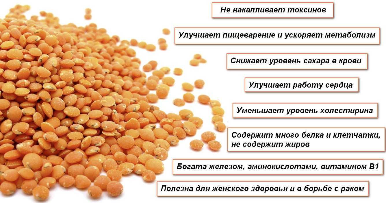 Сколько калории в нуте отварном, вареном, калорийность пророщенного нута, недозрелого, сырого, с овощами, на 100 грамм