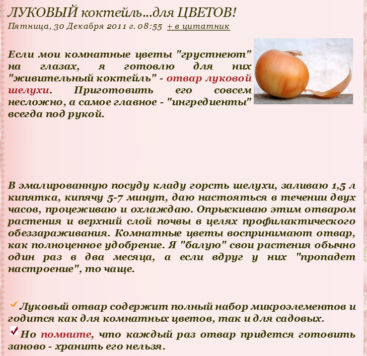 Луковая шелуха – доступное и экологически безопасное удобрение, а также инсектицид и фунгицид Однако не все комнатные цветы можно поливать настоем и отваром на ее основе