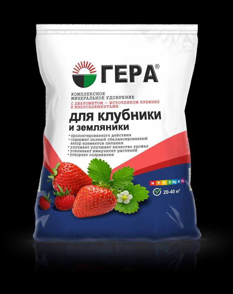 Чем подкормить клубнику весной для хорошего урожая