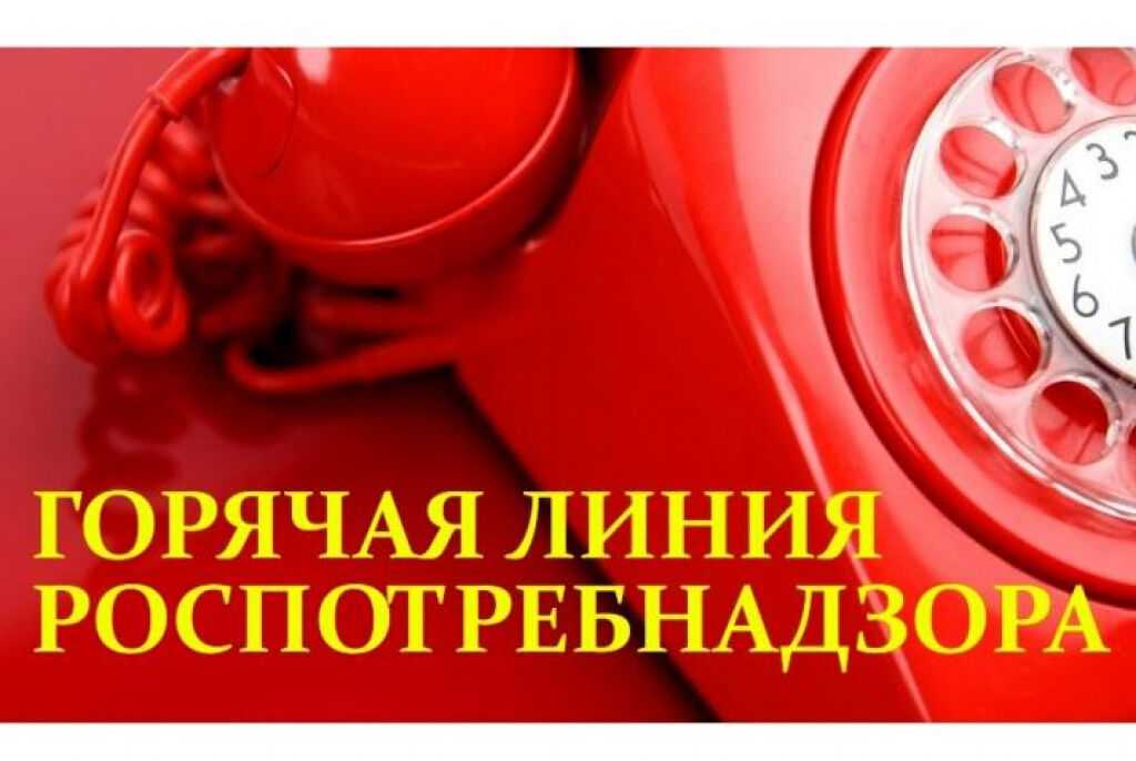 Хранение кондитерских изделий: сроки годности, условия, способы сохранности мучных кондитерских изделий