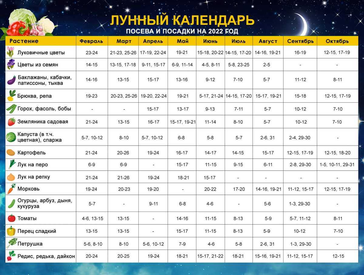 Когда лучше солить капусту в январе 2021 - календарь
