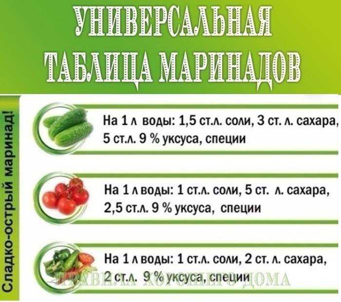 Когда можно квасить, солить капусту на зиму: в какой день и месяц лучше, нюансы соленья и полезные советы