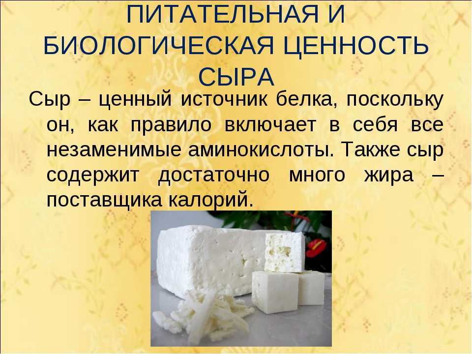 8 лучших творожных сыров – рейтинг 2023 года