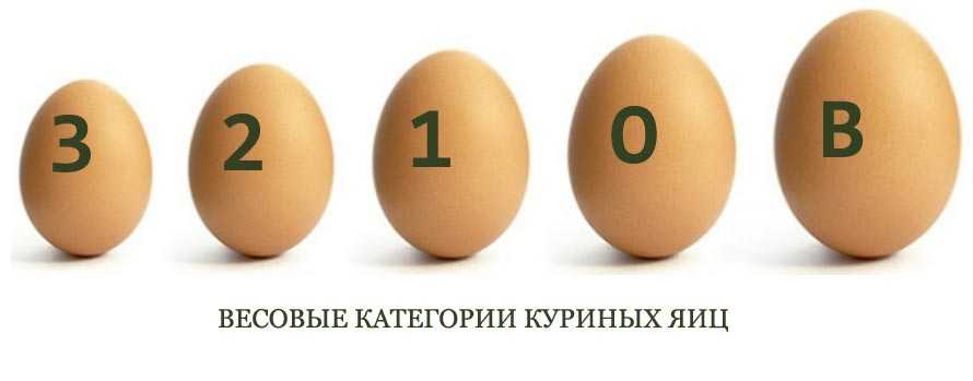 Категории яиц куриных: чем отличаются, какие выбрать
