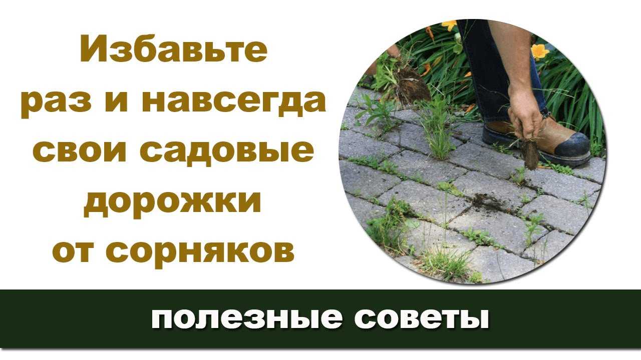 Ландшафтный дизайн вашего участка своими руками