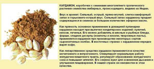 Что такое кардамон: вкус и применение приправы, полезные свойства специи