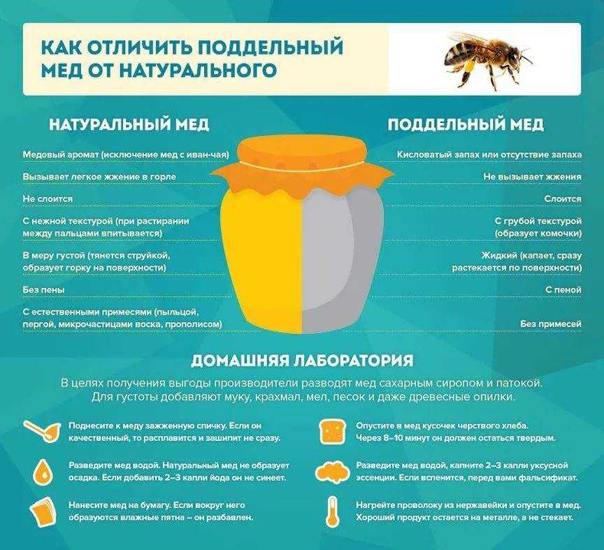 Сохранение полезных свойств медом при нагревании