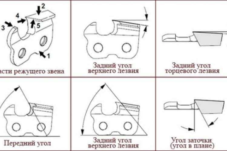 Как заточить цепь бензопилы болгаркой